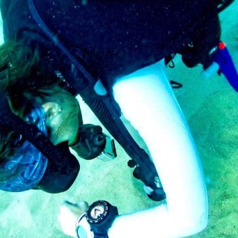 a bird swimming in water