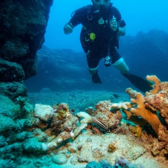 a person swimming in the water