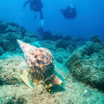 underwater view of a swimming pool