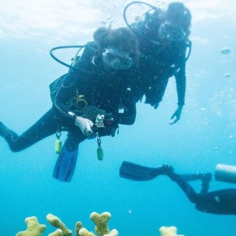 Two divers submerged in the vibrant waters of Kauai, Hawaii, engrossed in an interactive scuba diving experience with Fathom Five Divers