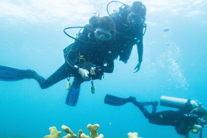 Two divers submerged in the vibrant waters of Kauai, Hawaii, engrossed in an interactive scuba diving experience with Fathom Five Divers