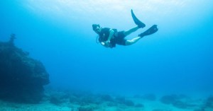 a man flying through the air while swimming in a body of water