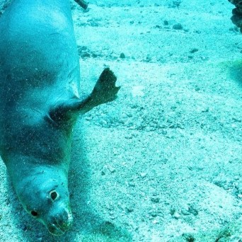 A woman standing on a boat, captivated by a vivid rainbow stretching across the sky in Kauai, Hawaii, during a trip with Fathom Five Divers.