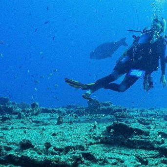 a person swimming in the water
