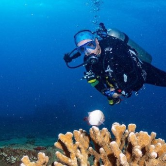 Scuba diver exploring a large coral formation in the serene, sky-blue waters of Kauai, Hawaii, captured during an adventure with Fathom Five Divers