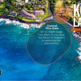 Koloa Landing Dive Site