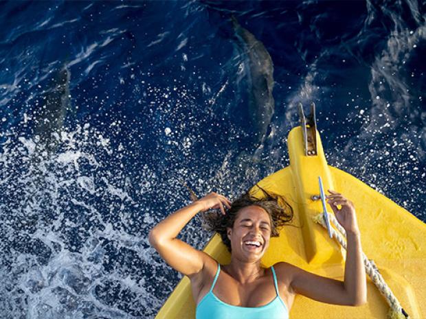 Education_Beginner_card_standard-3 a woman riding a wave on a surfboard in the water