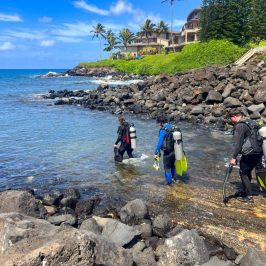 a group of people on a rocky beach