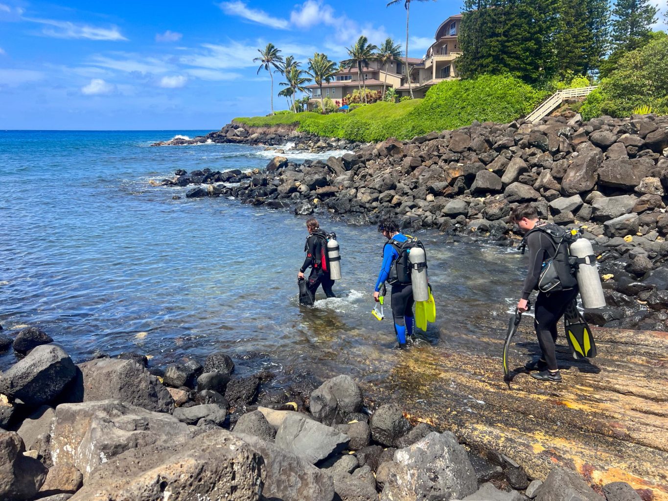 a group of people on a rocky beach