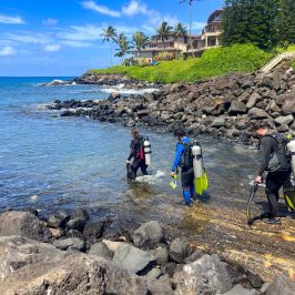 a group of people on a rocky beach