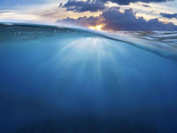elearning a view of the ocean