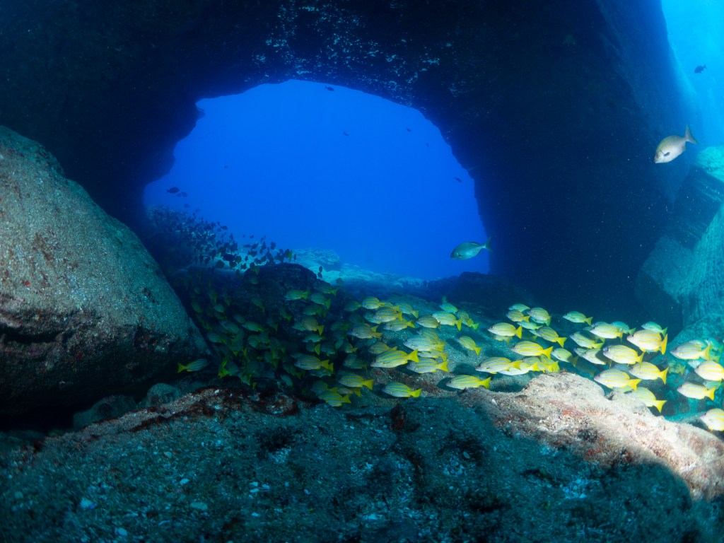 underwater view of a large rock